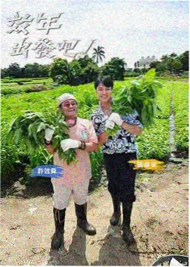 搞笑综艺封面